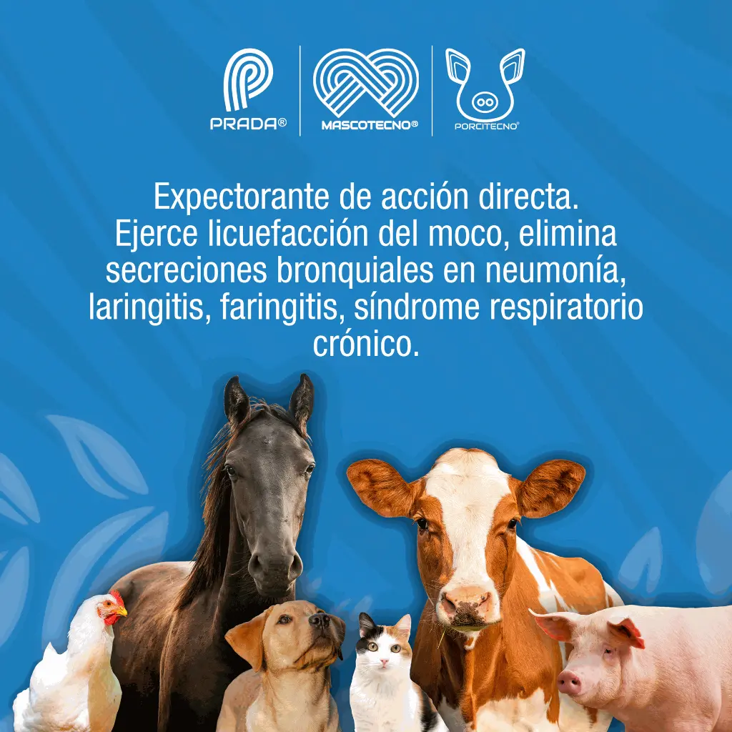 NOVABRONCOL_4LT_01.webp