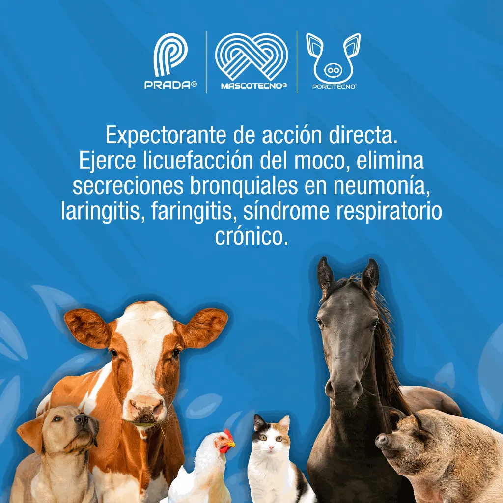 NOVABRONCOL_1LT_01.webp