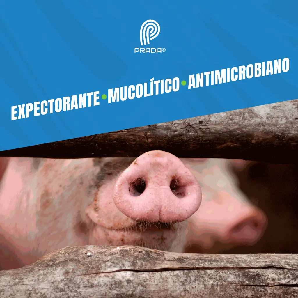 NOVABRONCOL_1LT_05.webp