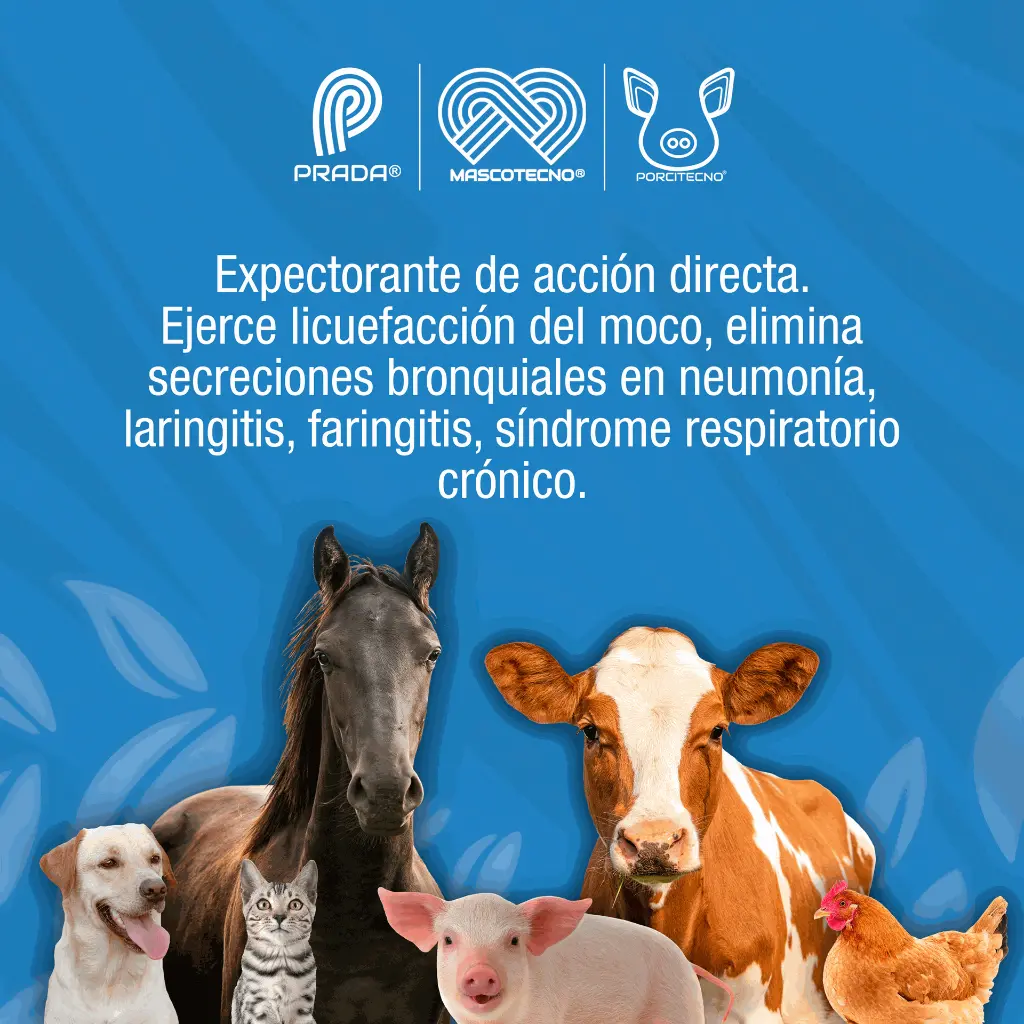NOVABRONCOL_20LT_01.webp