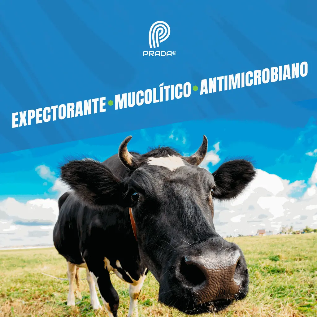 NOVABRONCOL_20LT_05.webp