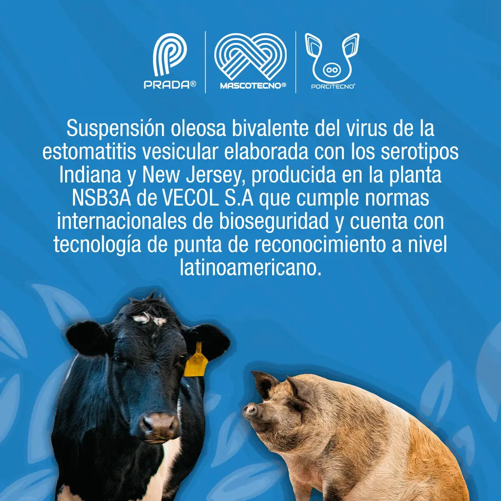 VACUNA_ESTOMATITIS_250ML_01.webp
