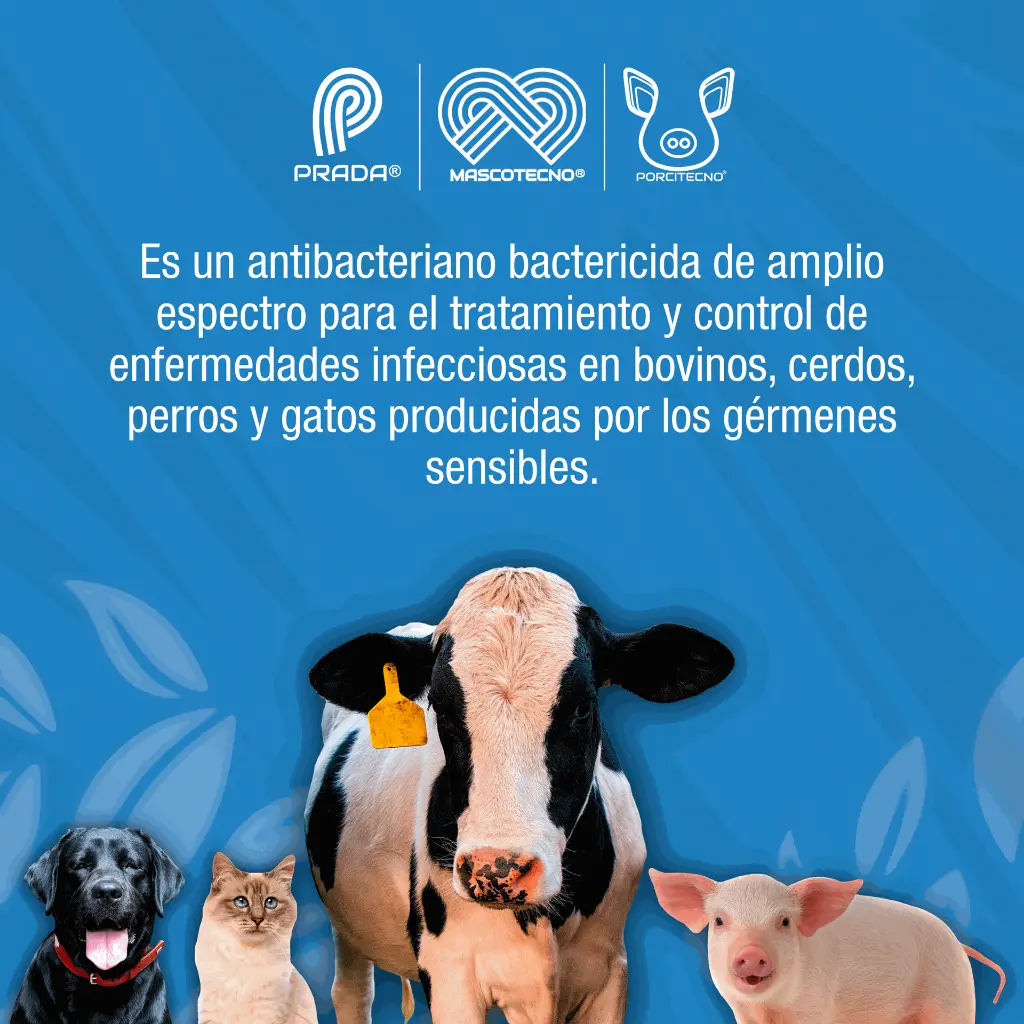 QUINOCALF_5.0%_50ML_01.webp