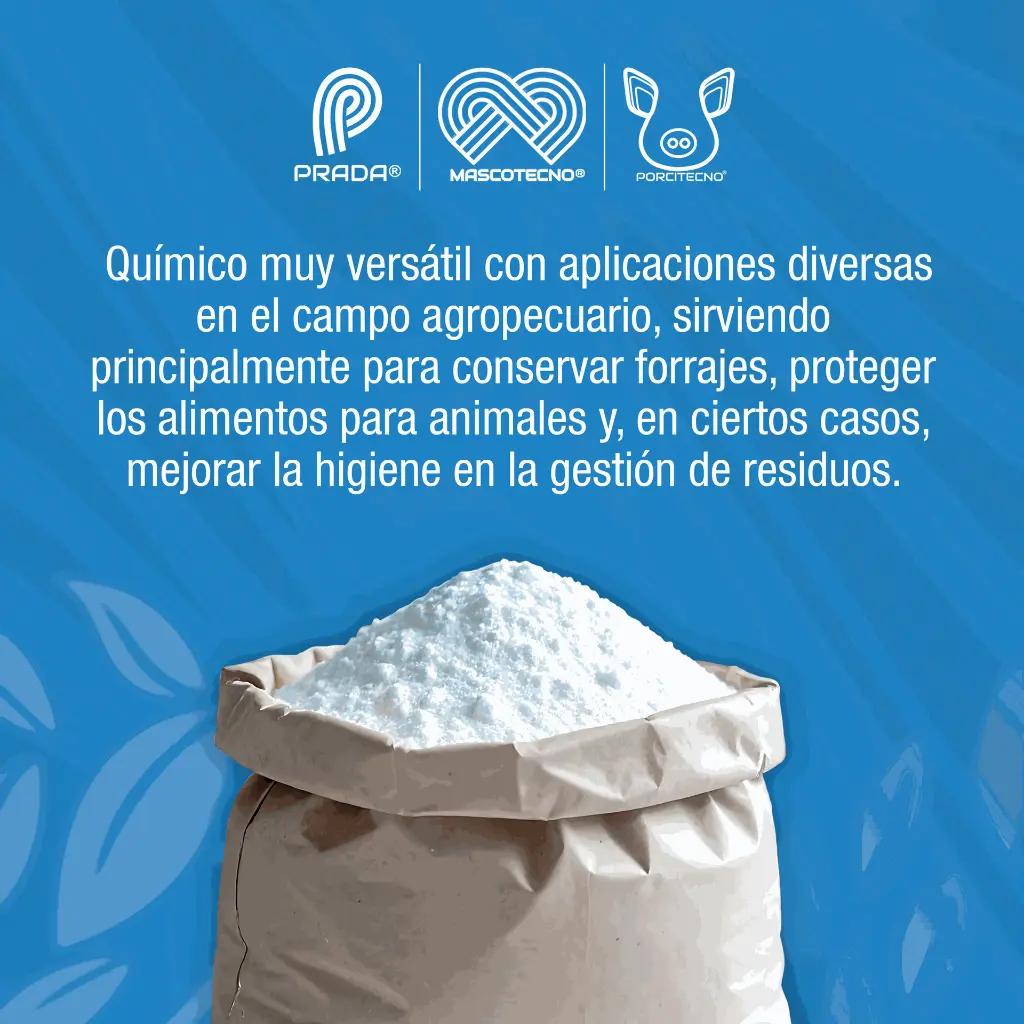 BISULFITO_SODIO_500GR_01.webp