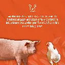 FLORCAP_40%_1000GR_01.webp