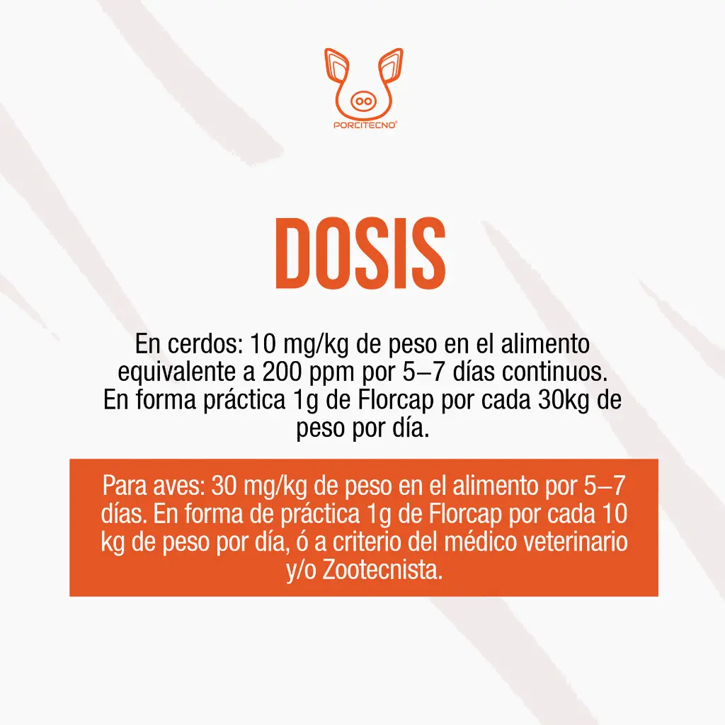 FLORCAP_40%_1000GR_03.webp