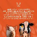 DRAXXIN_INY_100ML_01.webp