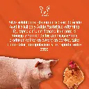 GRAM_UP_1KG_01.webp