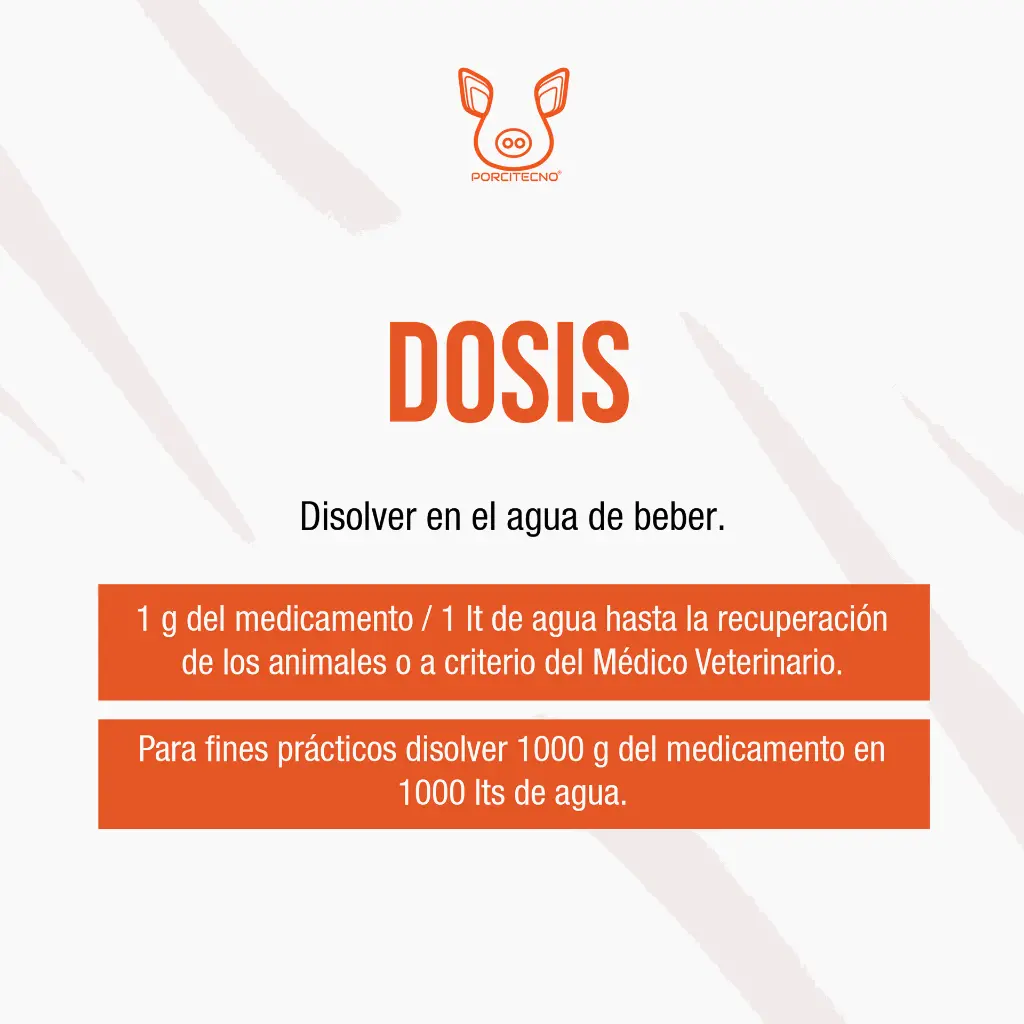 GRAM_UP_1KG_03.webp