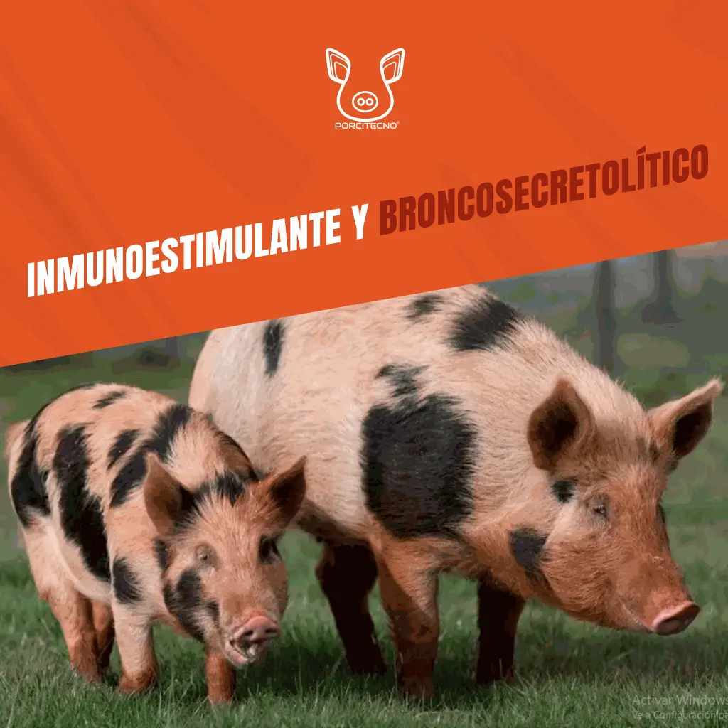 NATBIO_KONTRA_20LTS_05.webp
