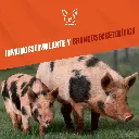 NATBIO_KONTRA_20LTS_05.webp