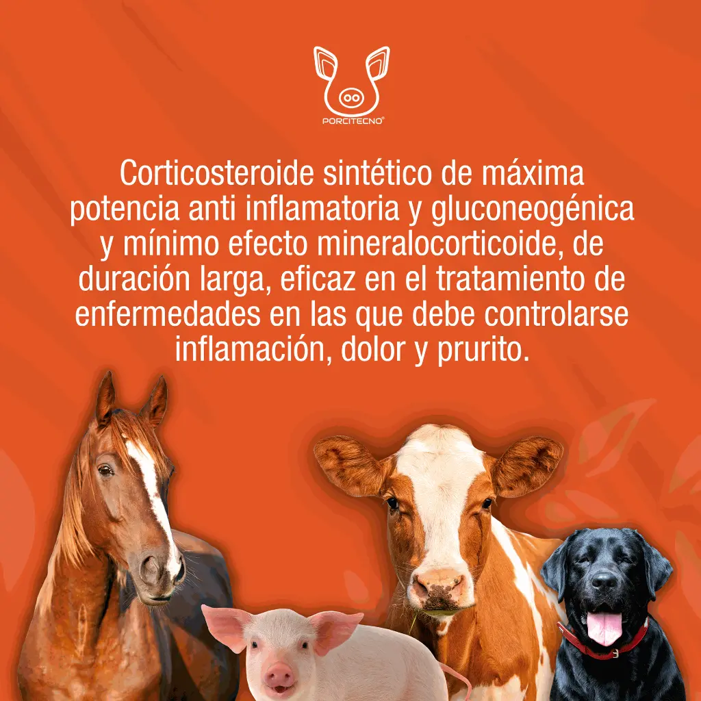 INFLACOR_50ML_01.webp