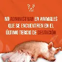 INFLACOR_50ML_05.webp