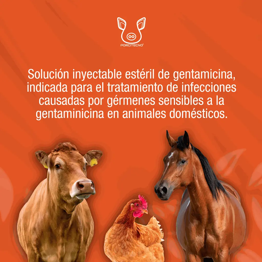 GENTANOVA_100ML_01.webp