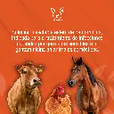 GENTANOVA_100ML_01.webp