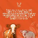 TULATROM_100ML_01.webp