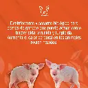 LITAZIX_25KG_01.webp
