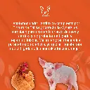 BEDGEN_40SFA_1LT_01.webp