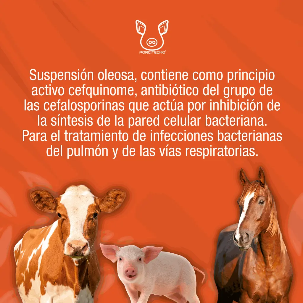 COBACTAN_2-5%_100ML_01.webp