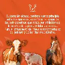 COBACTAN_2-5%_100ML_01.webp