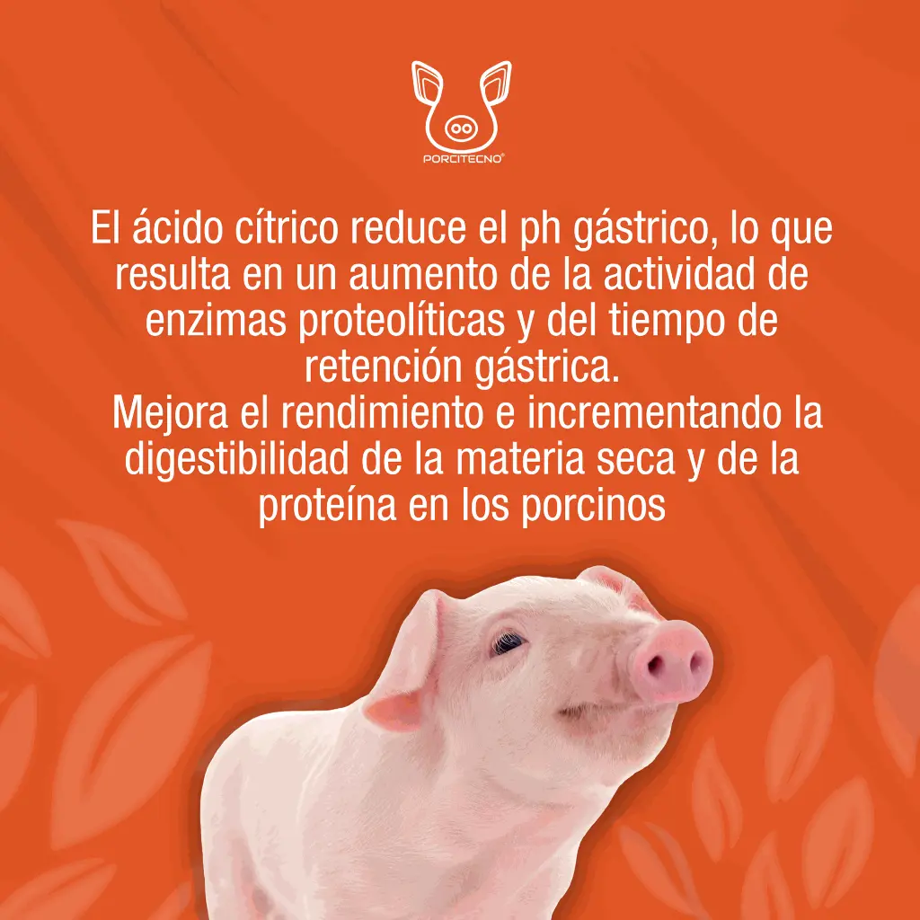 ACIDO_CITRICO_1000GR_01.webp
