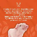 ACIDO_CITRICO_1000GR_01.webp