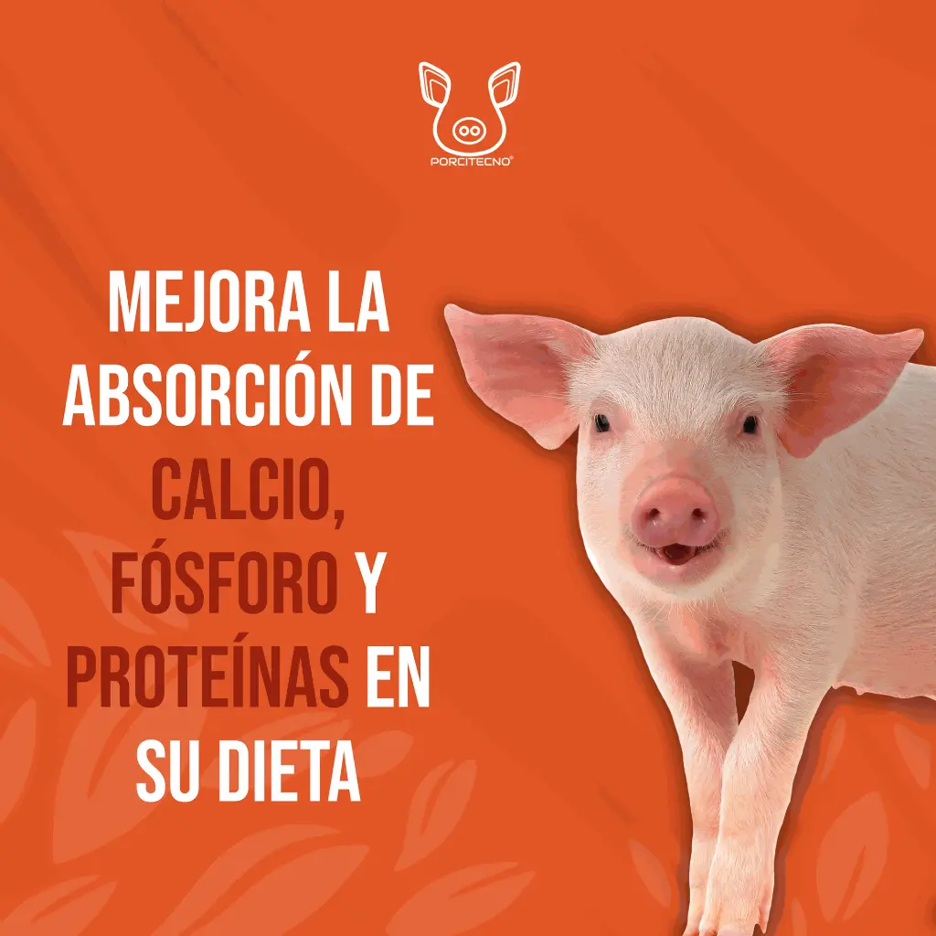 ACIDO_CITRICO_1000GR_04.webp
