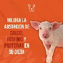 ACIDO_CITRICO_1000GR_04.webp