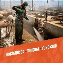 SANIFARM_GL_05.webp