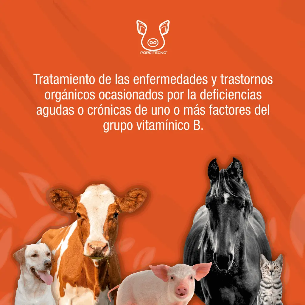 COMPLEJO_B600_100ML_01.webp