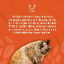 NATBIO_KONTRA_4LTS_01.webp
