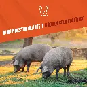 NATBIO_KONTRA_4LTS_05.webp