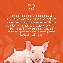 TINTURA_YODO_5%_GL_01.webp