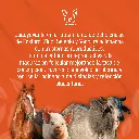 CALFOSVIT_SE_500ML_01.webp
