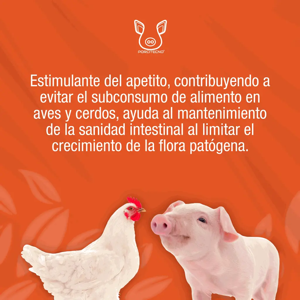 ACIVET_20LT_01.webp