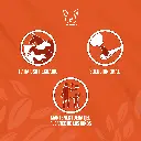 ACIVET_20LT_02.webp