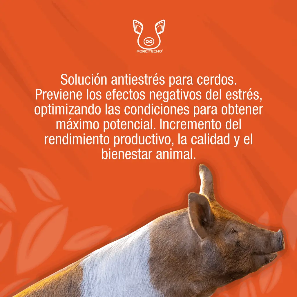 SECUREPIG_FLASH_1LT_01.webp