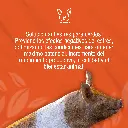 SECUREPIG_FLASH_1LT_01.webp