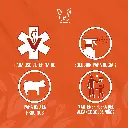 SECUREPIG_FLASH_1LT_02.webp