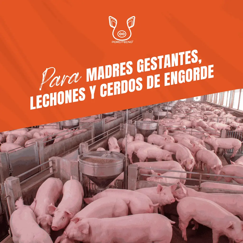 SECUREPIG_FLASH_1LT_05.webp