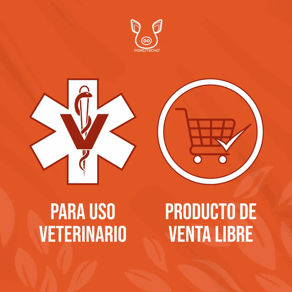 CATETER_CERDA_TODOS_02.webp