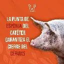 CATETER_CERDA_TIPO_B_03.webp