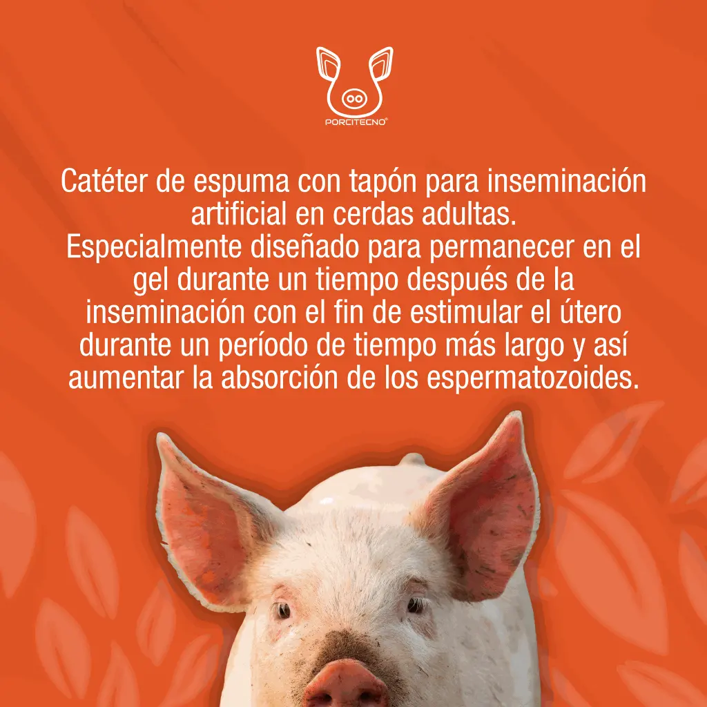CATETER_CERDA_AZUL_TIPO_A_01.webp