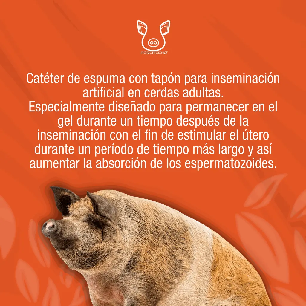 CATETER_CERDA_POST_CERVICAL_01.webp