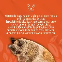 CATETER_CERDA_POST_CERVICAL_01.webp