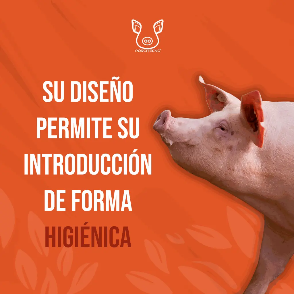 CATETER_CERDA_POST_CERVICAL_03.webp