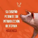 CATETER_CERDA_POST_CERVICAL_03.webp