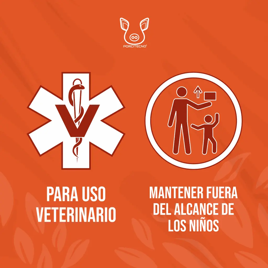MARTILLO_TATUADOR_KETCHUM_02.webp