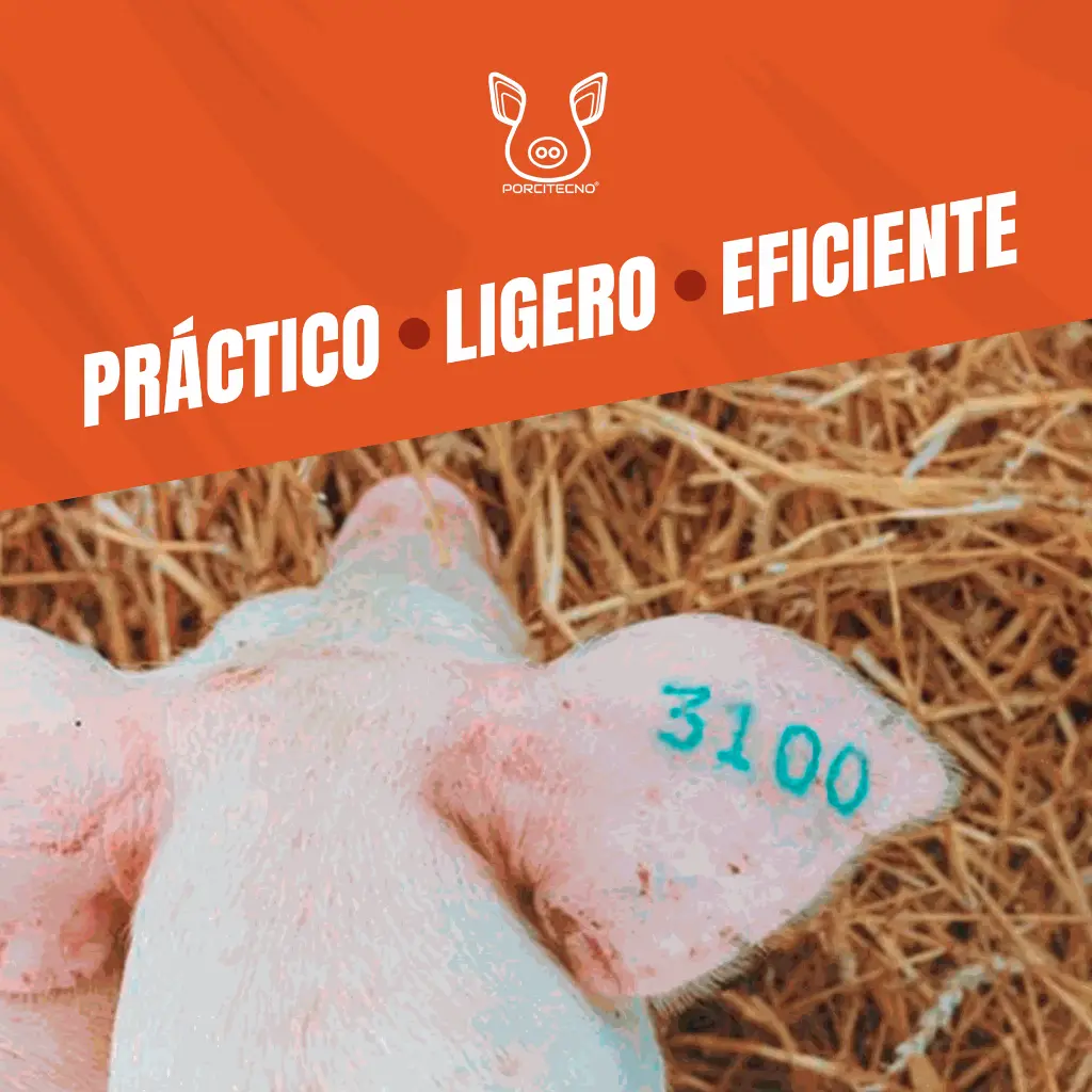 MARTILLO_TATUADOR_KETCHUM_04.webp