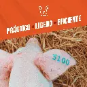 MARTILLO_TATUADOR_KETCHUM_04.webp